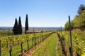 Valpolicella hills landscape, Italian viticulture area, Italy Royalty Free Stock Photo