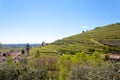 Valpolicella hills landscape, Italian viticulture area, Italy Royalty Free Stock Photo