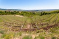 Valpolicella hills landscape, Italian viticulture area, Italy Royalty Free Stock Photo