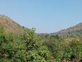 Valsad Forest Royalty Free Stock Photo