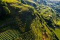 Valtellina IT, Castionetto di Chiuro, view of the vineyards Royalty Free Stock Photo