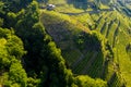 Valtellina IT, Castionetto di Chiuro, view of the vineyards Royalty Free Stock Photo