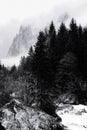 Valtellina, Italian alps Royalty Free Stock Photo