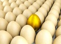 Valuable golden egg Royalty Free Stock Photo