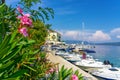 09.03.2019. Valun, Croatia: little fishermans village of Valun in Cres island with shrub flowers Royalty Free Stock Photo