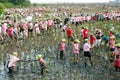 Thai Volunteer working on plant young mangroves trees.