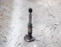 The valve of the engine. Engine part, intake exhaust valve
