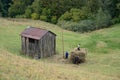 Vama, Romania, September 27th, 2019, Portraiture of family at barn with hay in Bucovina Royalty Free Stock Photo