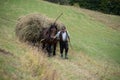 Vama, Romania, September 27th, 2019, Portraiture of man with carriage and horse carrying hay in Bucovina Royalty Free Stock Photo