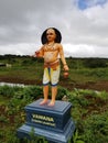 Vamana Avatar Mauritius