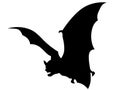 Vampire bat vector Royalty Free Stock Photo