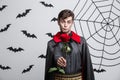 Vampire Halloween Concept - Portrait of handsome caucasian Vampire holding red beautiful rose. Royalty Free Stock Photo