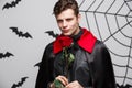 Vampire Halloween Concept - Portrait of handsome caucasian Vampire holding red beautiful rose. Royalty Free Stock Photo