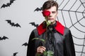 Vampire Halloween Concept - Portrait of handsome caucasian Vampire holding red beautiful rose. Royalty Free Stock Photo