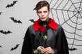 Vampire Halloween Concept - Portrait of handsome caucasian Vampire holding red beautiful rose. Royalty Free Stock Photo