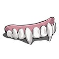 Vampire teeth on white background. Vector illustration.