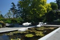 Van Dusen Gardens, Vancouver