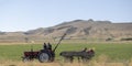 Van , Turkey 07.22.2021; Landscape of people working in the field with tractor. wheat fields.