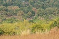 Van Vihar National Park Bhopal