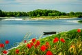The Loire River in spring with poppies on the dike.