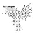 Vancomycin molecule, antibiotic, chemical structure