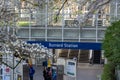 Cherry blossom in beautiful full bloom in Burrard Station, Art Phillips Park. Royalty Free Stock Photo