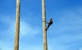 Log climbing at the Grouse Mountain Lumberjack demonstration