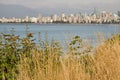 Vancouver BC Downtown from Hasting Mills Park Royalty Free Stock Photo