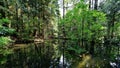 The River Regional Park in North Vancouver, Capilano is famouse for Suspension Bridge Royalty Free Stock Photo