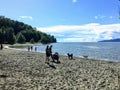 People enjoying a beautiful day with their dogs at the spanish banks dog park along the beautiful beaches of Vancouver