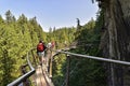 Visitors exploring the Capilano Cliff Walk through rainforest. The popular suspended walkways juts out from the granite cliff Royalty Free Stock Photo