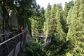 Visitors exploring the Capilano Cliff Walk through rainforest. The popular suspended walkways juts out from the granite cliff Royalty Free Stock Photo