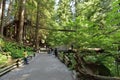 Visitors exploring the Capilano Suspension Bridge park in North Vancouver, Capilano Suspension Bridge is 460 feet long Royalty Free Stock Photo