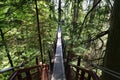 Visitors exploring the Capilano Suspension Bridge park in North Vancouver, Capilano Suspension Bridge is 460 feet long