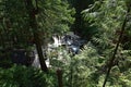 Visitors exploring the Capilano Suspension Bridge park in North Vancouver, Capilano Suspension Bridge is 460 feet long Royalty Free Stock Photo