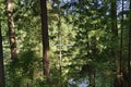 VANCOUVER, BRITISH COLUMBIA, CANADA, MAY 31, 2019: Visitors exploring the Capilano Suspension Bridge park in North Vancouver, Royalty Free Stock Photo