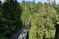 Visitors exploring the Capilano Suspension Bridge park in North Vancouver, Capilano Suspension Bridge is 460 feet long and 230 met Royalty Free Stock Photo