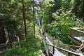 Visitors exploring the Capilano Suspension Bridge park in North Vancouver, Capilano Suspension Bridge is 460 feet long Royalty Free Stock Photo