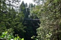 Visitors exploring the Capilano Suspension Bridge park in North Vancouver, Capilano Suspension Bridge is 460 feet long Royalty Free Stock Photo