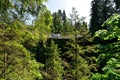 Visitors exploring the Capilano Suspension Bridge park in North Vancouver, Capilano Suspension Bridge is 460 feet long Royalty Free Stock Photo