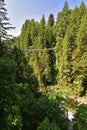 Visitors exploring the Capilano Suspension Bridge park in North Vancouver, Capilano Suspension Bridge is 460 feet long and 230 mt Royalty Free Stock Photo