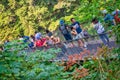 Vancouver, Canada - August 11, 2017: People at Capilano Bridge. It is a Suspension bridge crossing the Capilano River, 140 metres