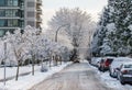 VANCOUVER, CANADA - February 13, 2019: urban street with cars and trees in snow