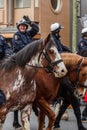 VANCOUVER, CANADA - February 2, 2014: Vancouver Police Department Mounted police officers at Chinese New Year parade.