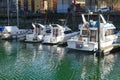 View of Boat Rentals dock near Granville Island in Downtown Vancouver