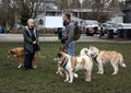 Dogs and dog lovers in Trout Park, Vancouver, British Columbia, Canada