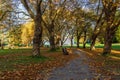 VANCOUVER, CANADA - OCTOBER 27, 2019: shady alley between autumn trees in Stanley park