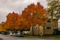 VANCOUVER, CANADA - October 1, 2018: street view residential area autumn time golden leaves Royalty Free Stock Photo