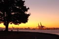 Vancouver Dawn, Stanley Park Royalty Free Stock Photo