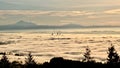 Vancouver highrise buildings covered with fog as seen from Cypress Mountain.
